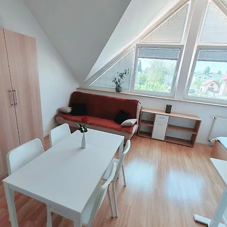 Apartment Lucky Center